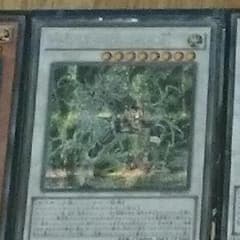 443専用のサムネイル