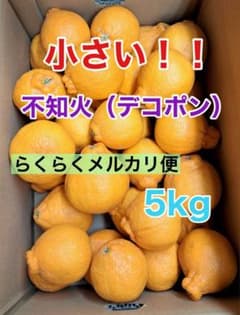 작은 하우스 시라누이(데코폰) 5킬로 아리타산 송료 무료라면 메르카리편