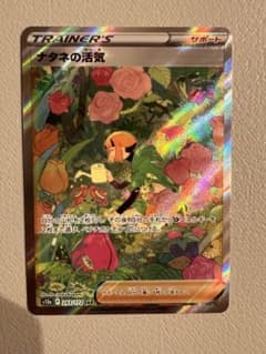 ナタネの活気SARのサムネイル