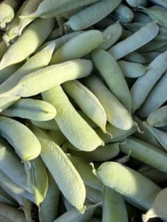 うすいえんどう豆のサムネイル