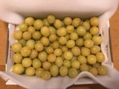 完熟ゴールデンシャインマスカット 1kg 粒売り（希少）のサムネイル