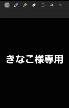 きなこ様専用のサムネイル