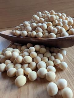 ７年北海道産大豆ゆきほまれ お手頃サイズ500グラムのサムネイル