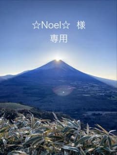 ☆Noel☆ 様　専用品のサムネイル