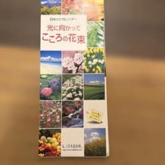 日めくりカレンダー 光に向かってこころの花束のサムネイル