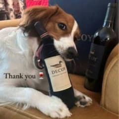 新品・未使用　MVP 大谷翔平 Decoy デコピンワイン 犬用おもちゃ 非売品 m61185278900_1.jpg?1732234002