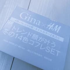 gina 付録のサムネイル