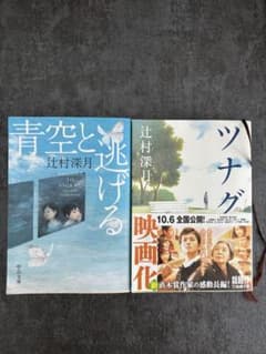 辻村深月 小説2冊セット 「青空と逃げる」「ツナグ」のサムネイル