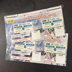 ナガシマスパーランド　パスポート券2枚のサムネイル