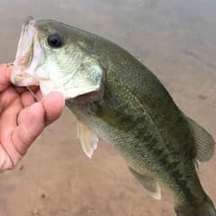 skさん専用のサムネイル