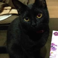 ゆうた様  電池交換ページのサムネイル