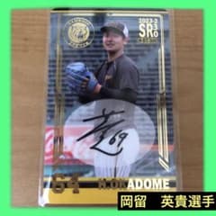 m61217081985_1.jpg?1703594564