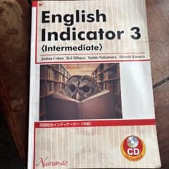 English Indicator 3 Intermediateのサムネイル