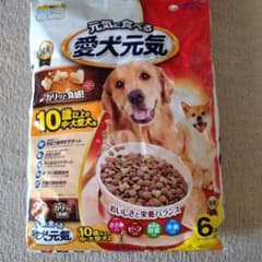 愛犬元気 ドライフード 6kg 10歳以上の中・大型犬用のサムネイル