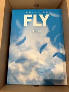 進撃の巨人　画集　『FLY』のサムネイル