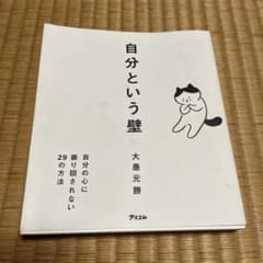 自分という壁 自分の心に振り回されない29の方法のサムネイル