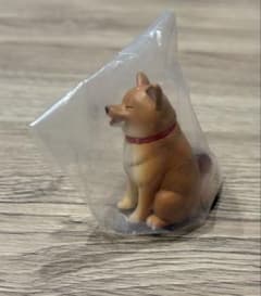 たぬきじゃないもん!! ガチャガチャ いぬのサムネイル