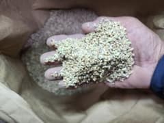 鳥用 穀物、くず米のサムネイル