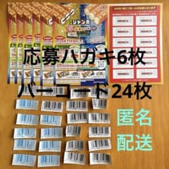 森永チョコモナカジャンボ バニラモナカジャンボ バーコード24枚 懸賞