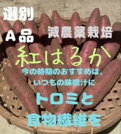 サイズ指定お任せください　紅はるか 減農薬栽培 5キロ 農家直送のサムネイル