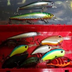 エバーグリーン　モードのサムネイル