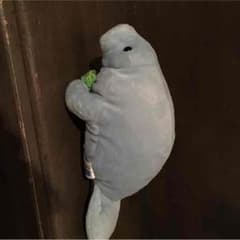 美ら海水族館オリジナルぬいぐるみのサムネイル