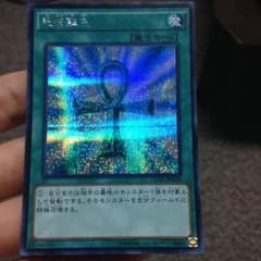 ラー様 専用のサムネイル