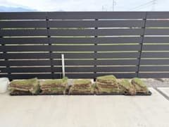 天然芝 苗 切り芝 5枚セット×4＋5枚のサムネイル