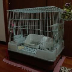 クッピ様専用　うさぎゲージのサムネイル
