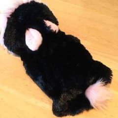 専用ページ☆のサムネイル
