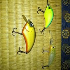 専用のサムネイル