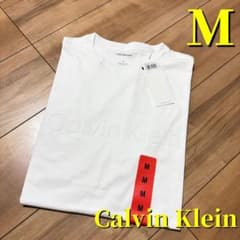 カルバンクライン　新品　Tシャツ　メンズ　CK 正規品　USサイズM
