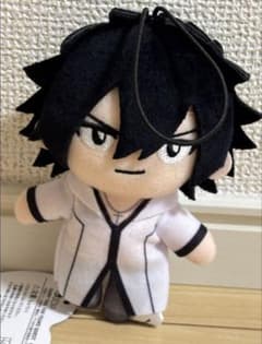 フェアリーテイル FAIRYTAIL 100年クエスト ピこぬい グレイ