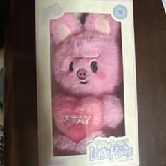 StrayKids SKZOO PLUSH VOICE ぬいぐるみ チャンビン - メルカリ