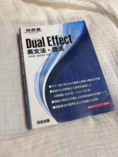 Dual Effect 英文法・語法　河合塾　出版のサムネイル