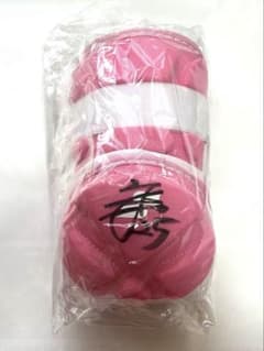 東北楽天 イーグルス 田中和基サイン入りガード 母の日 mother's day 東北楽天 イーグルス 田中和基サイン入りガード 母の日 mother's