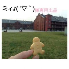 ミィ♪( ´▽`)様専用出品のサムネイル