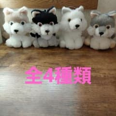 もふっと オオカミ ミステリアス 計4種セット マスコット ぬいぐるみ