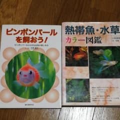 熱帯魚・水草 カラー図鑑 / ピンポンパールを飼おう 2冊まとめ売りのサムネイル