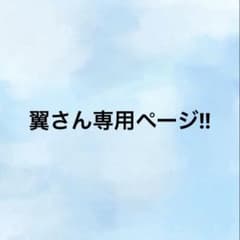 翼さん専用ページ!!のサムネイル