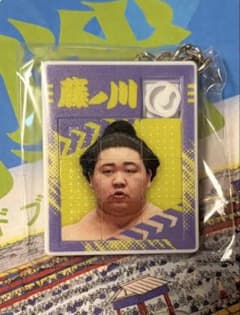 U-25パズルキーホルダー【藤ノ川】のサムネイル