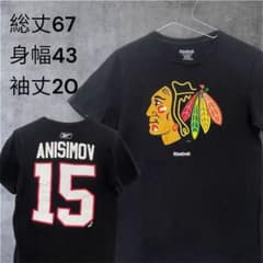 ホッケーシャツ シカゴブラックホークス　NHL リーボック Reebok NHL シカゴ・ブラックホークス ゲームシャツ Tシャツ Sサイズ