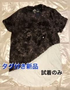 ホリスター カーブヘム半袖Tシャツ　Sサイズ　タグ付き新品　メンズのサムネイル