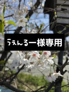 うぇんるー様専用のサムネイル