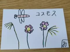 コスモス　りす　子供の絵　ポストカードのサムネイル