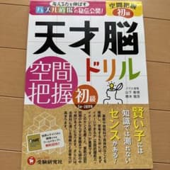 考える力を伸ばすパズル道場の秘伝公開! 天才脳ドリル 空間把握 初級 賢い子に…のサムネイル