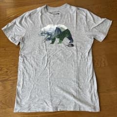 THE NORTH FACE ベア グラフィック Tシャツ グレー Mのサムネイル