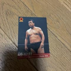 新日本プロレス 木戸修  直筆サインカード  プロレスカード BANDAI 木戸修 トレーディングカード 新日本プロレス - メルカリ