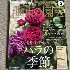 NHK趣味の園芸　薔薇の季節のサムネイル