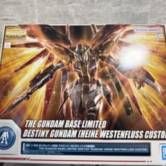 MG 1/100 ガンダムベース限定 デスティニーガンダム ハイネ専用機